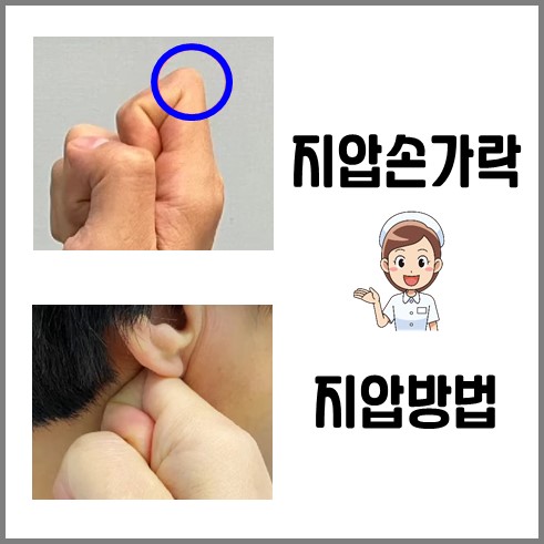 물설사 멈추는법 : 귀 밑을 지압한다