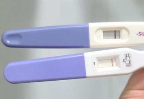 임신테스트기 두개의 테스트 결과 한줄이 표시되어 있다