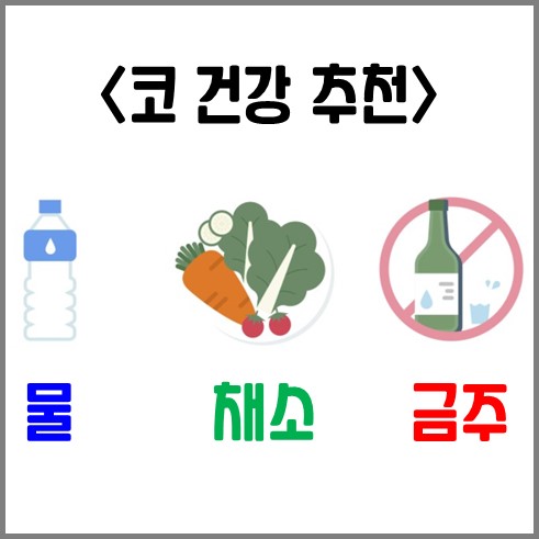 코 건강을 위한 추천사항으로 물 보충, 채소 섭취, 금주가 있다