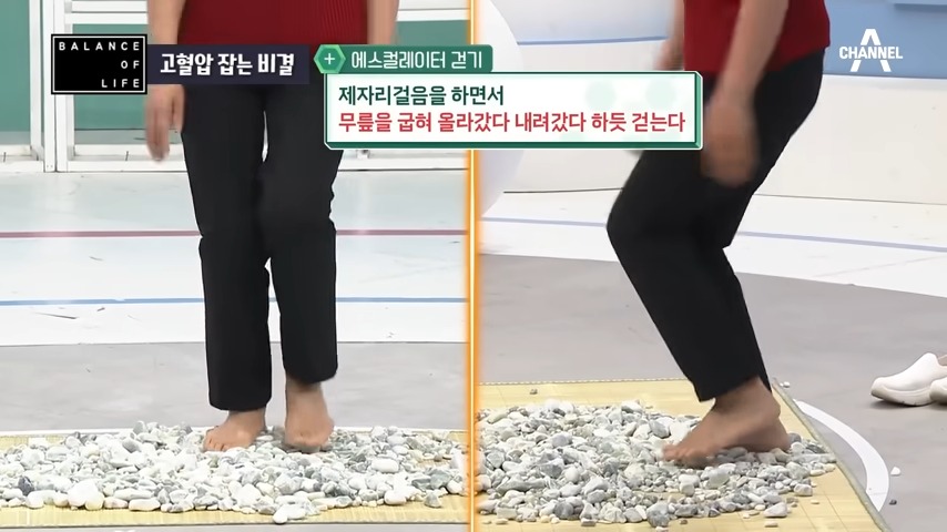 고혈압 낮추는 방법으로 에스컬레이터 걷기 는 무릅을 굽혀 올라갔다 내려갔다 하듯 걷는다
