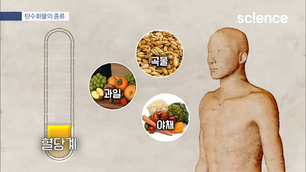 곡물, 과일, 야채는 혈당을 적게 올린다