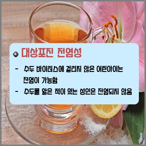 대상포진 전염성 설명