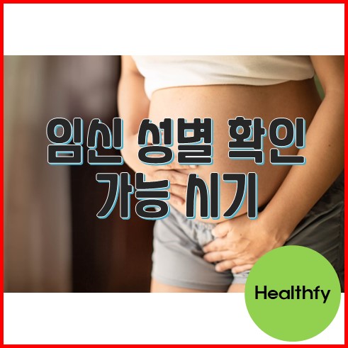 임신 성별 확인 가능 시기 및 알아야 할 사항 - Healthfy