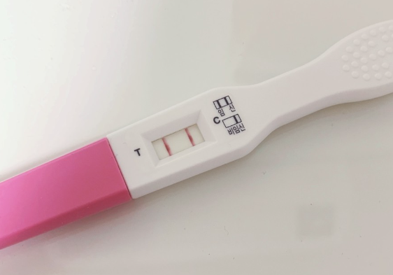 임테기 두줄 나타난 모습