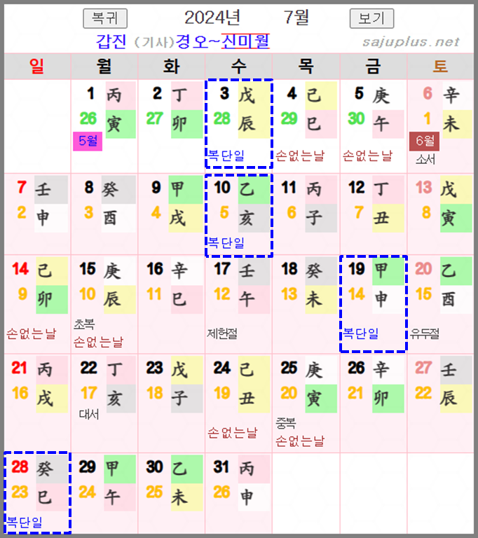 2024년 복단일 7월