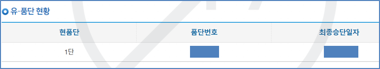 태권도 단증 조회 결과