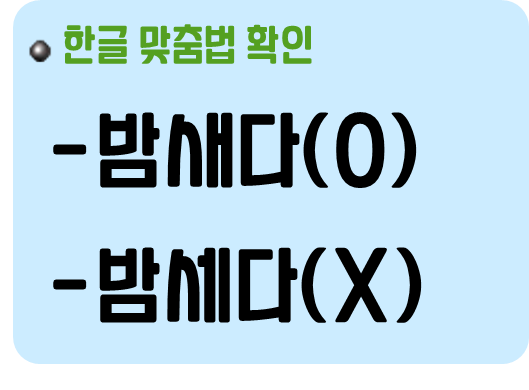 밤새다 밤세다 맞춤법 확인
