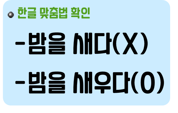 밤을 새다 밤을 새우다 맞춤법 확인