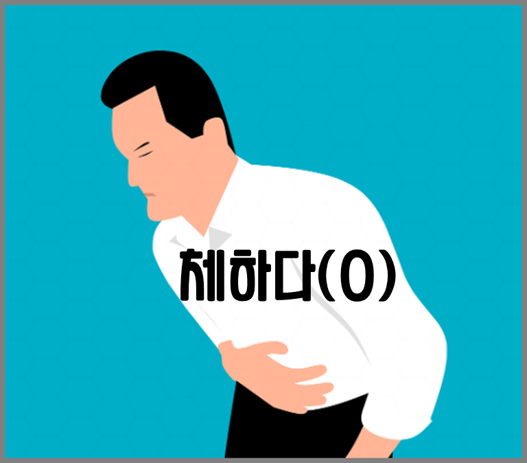 체하다 사용 예시