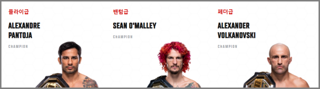 UFC 체급별 랭킹 1위 선수