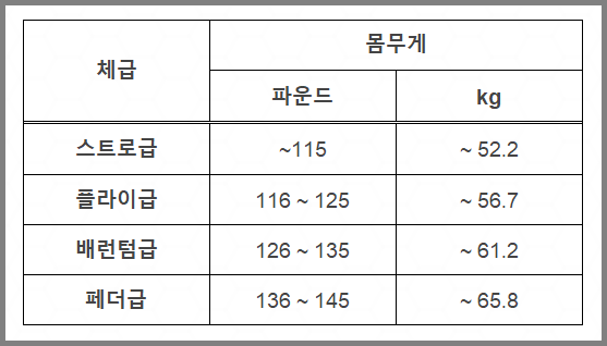 UFC 체급표 여성
