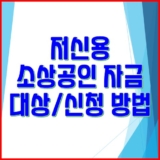 2024년 저신용 소상공인 자금 대상 및 신청 방법 | 정책자금 대출 한도, 금리, 조건